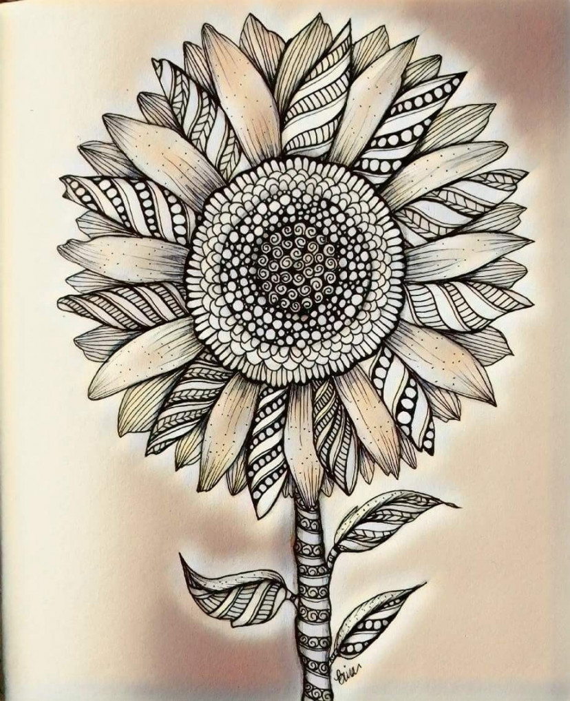 Zen sunflower #binazen #zentangle  Zentangle drawings, Zentangle