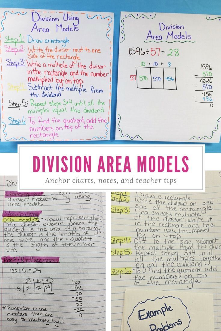 Division Area Model Worksheet 50