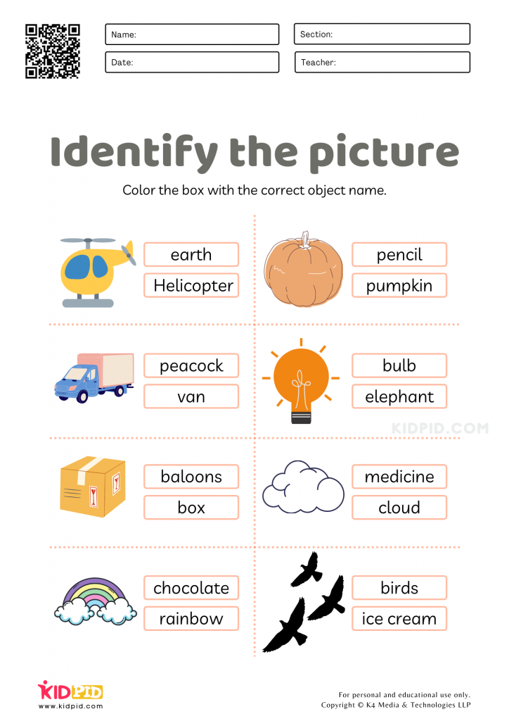 Find The Object Worksheets 1