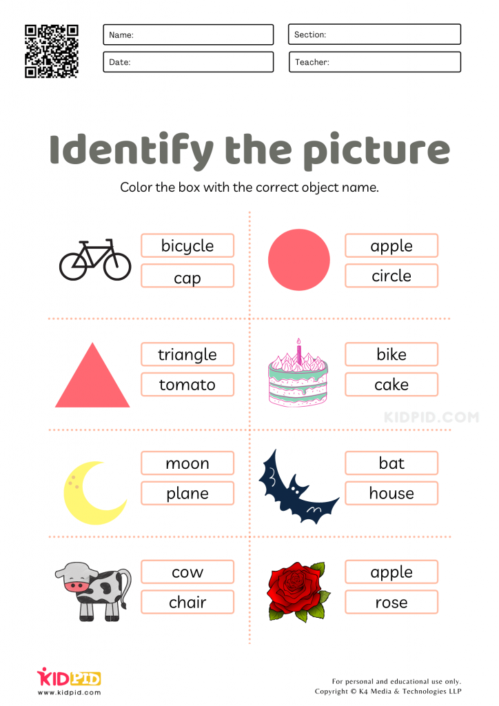 Find The Object Worksheets 10