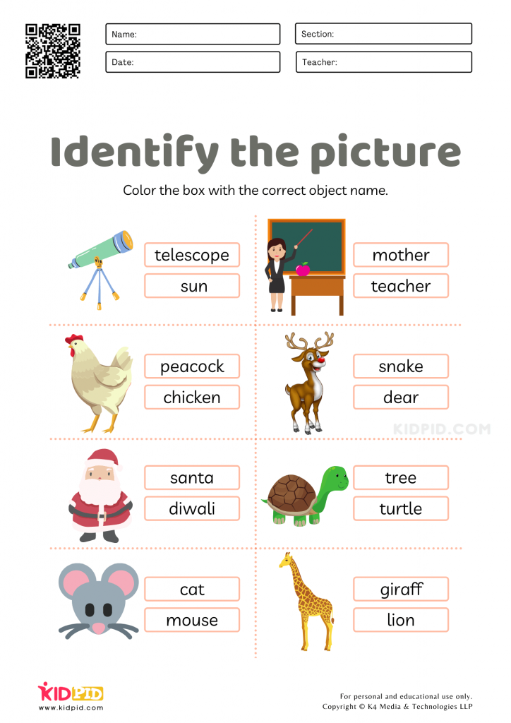 Find The Object Worksheets 18