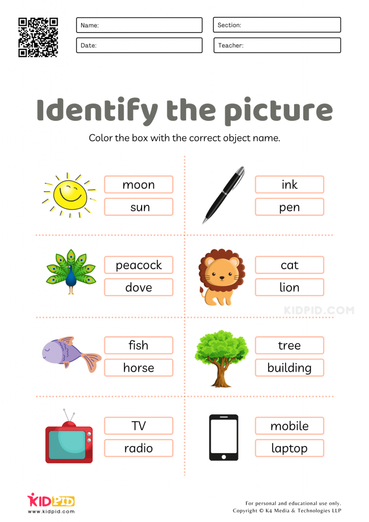 Find The Object Worksheets 83