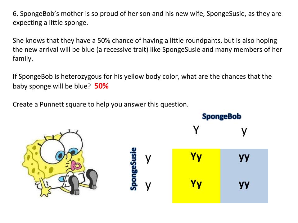 40 Spongebob Punnett Square Worksheet 2