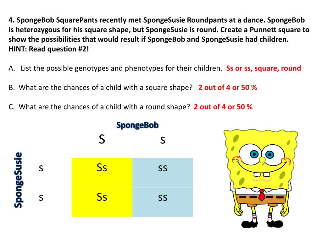 40 Spongebob Punnett Square Worksheet 4