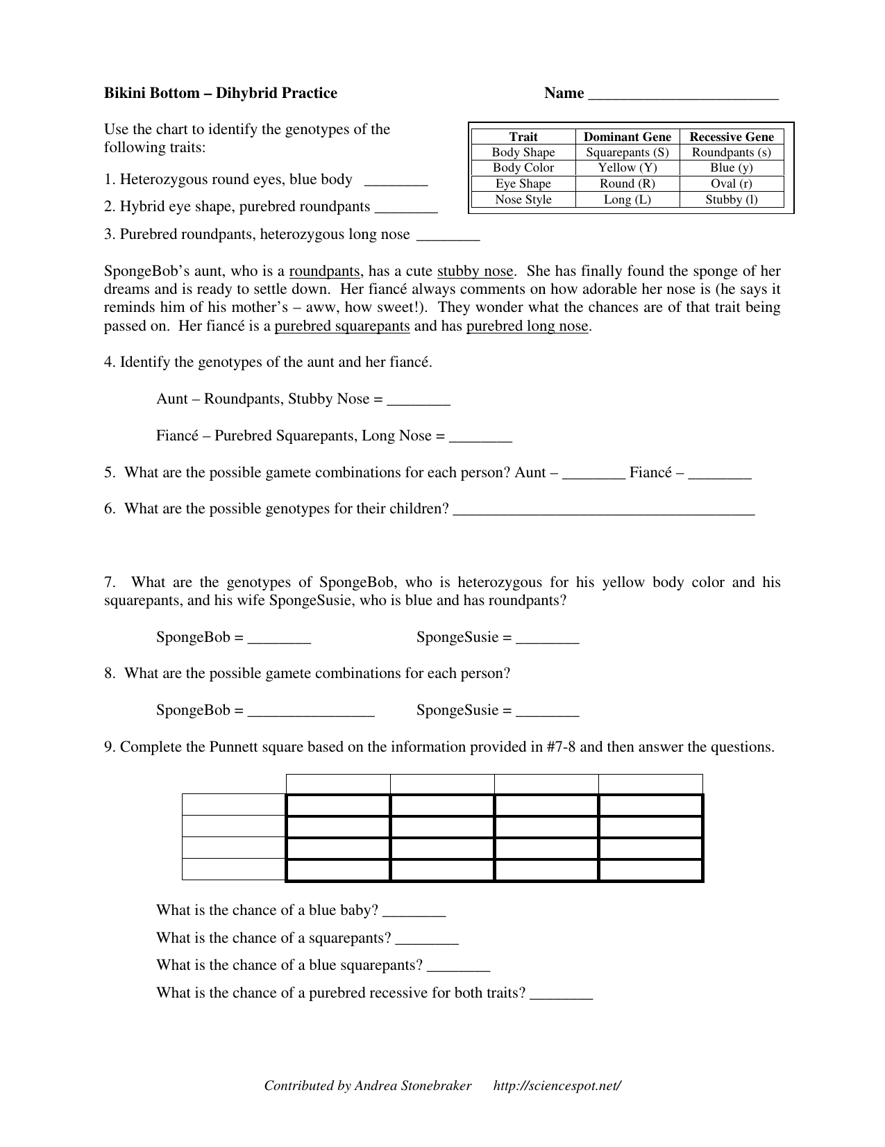 40 Spongebob Punnett Square Worksheet 42