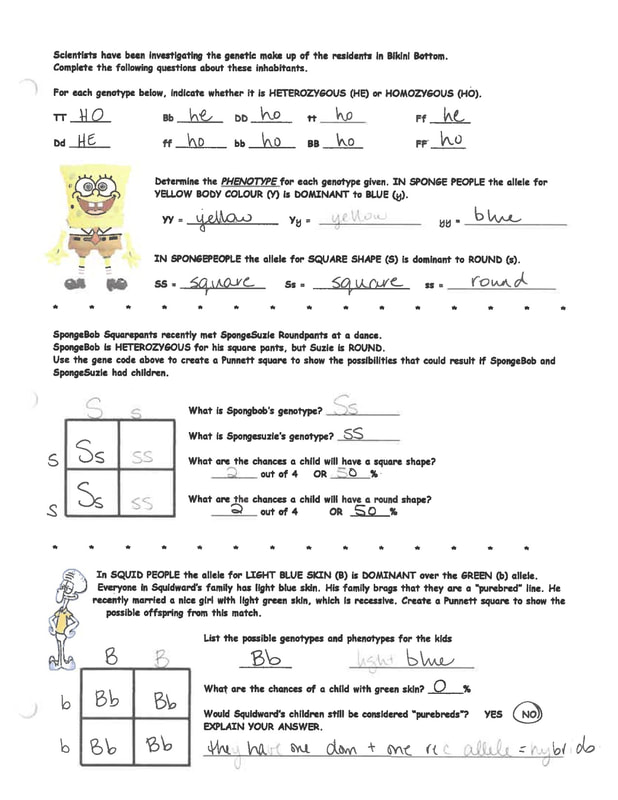 40 Spongebob Punnett Square Worksheet 5