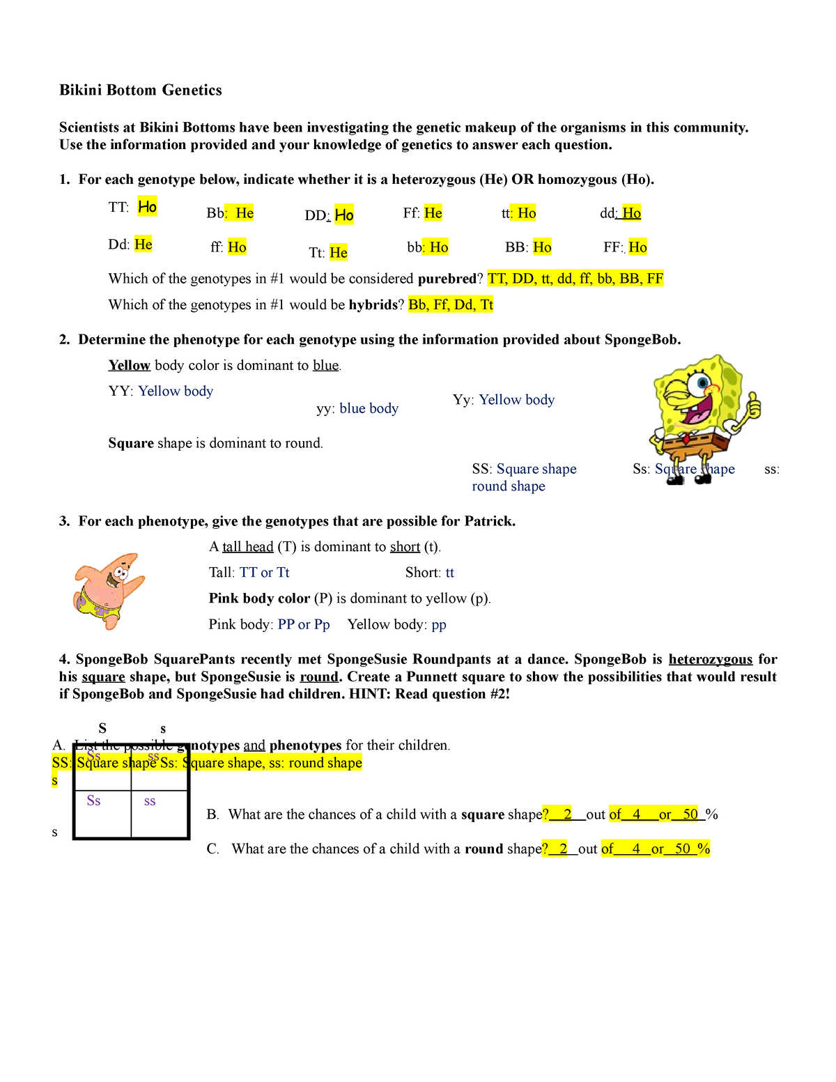 40 Spongebob Punnett Square Worksheet 6