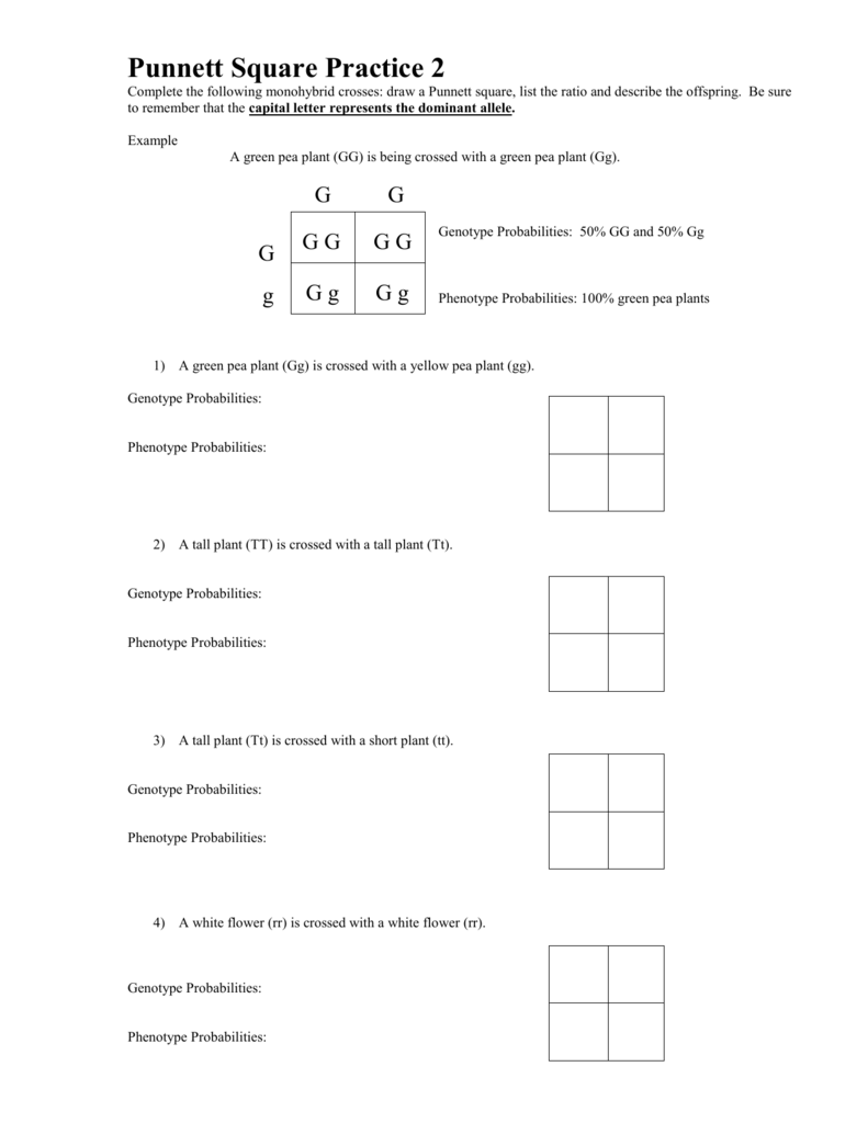 40 Spongebob Punnett Square Worksheet 7