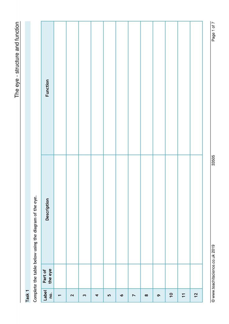 80 Printable Function Tables Worksheet Pdf 16