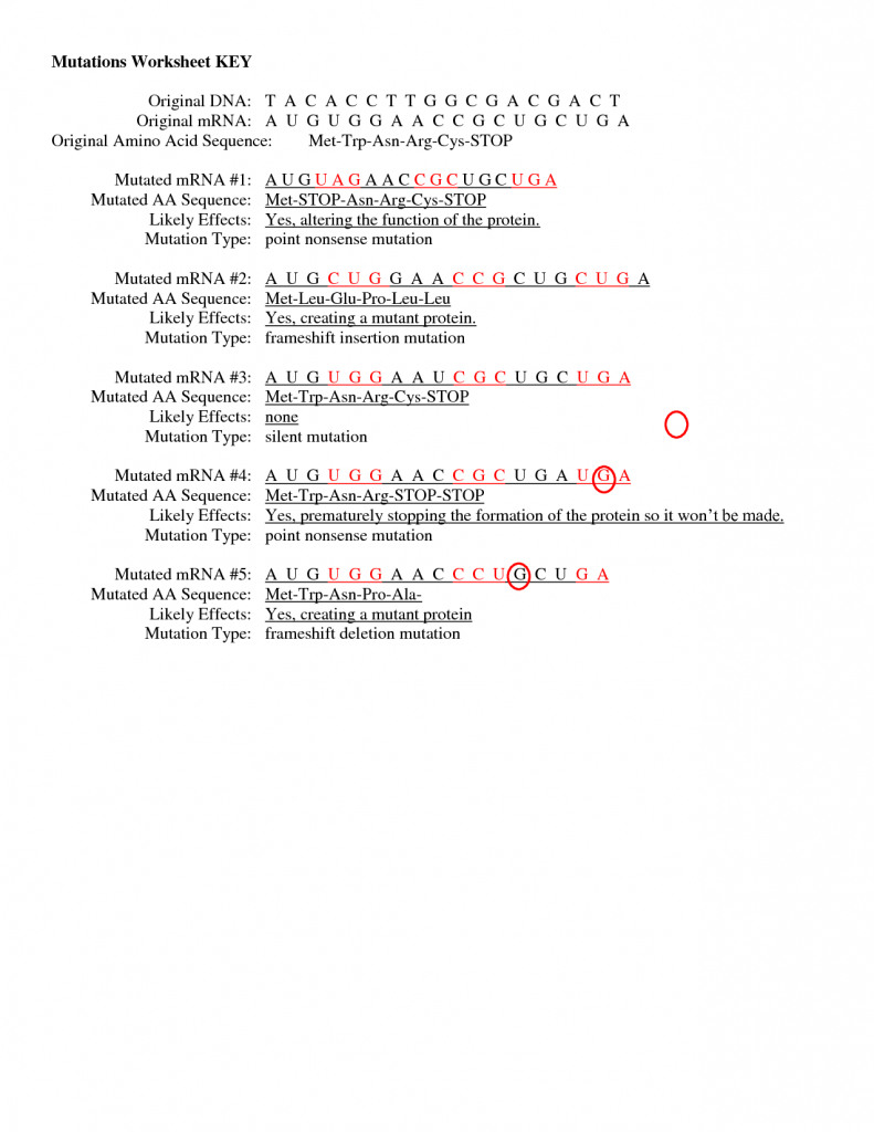 80 Printable Mutation Worksheet Answer Key 12