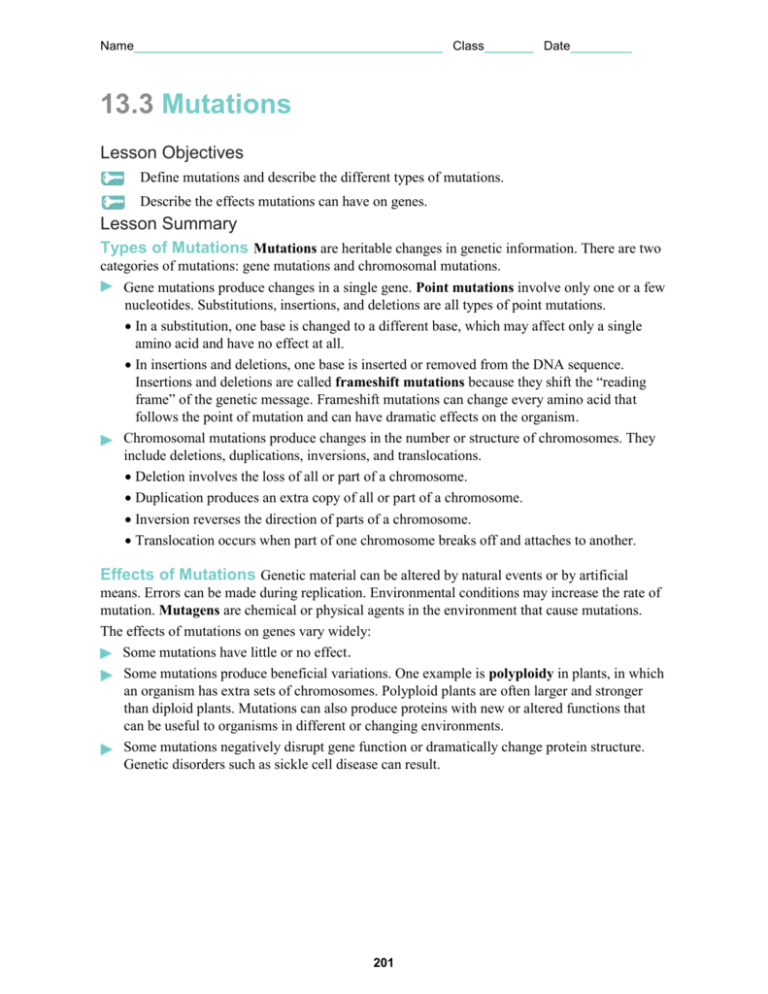 80 Printable Mutation Worksheet Answer Key 13