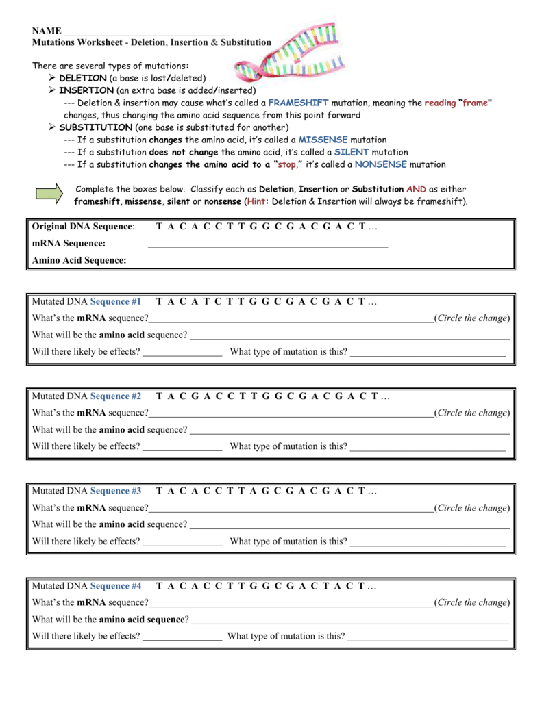 80 Printable Mutation Worksheet Answer Key 2