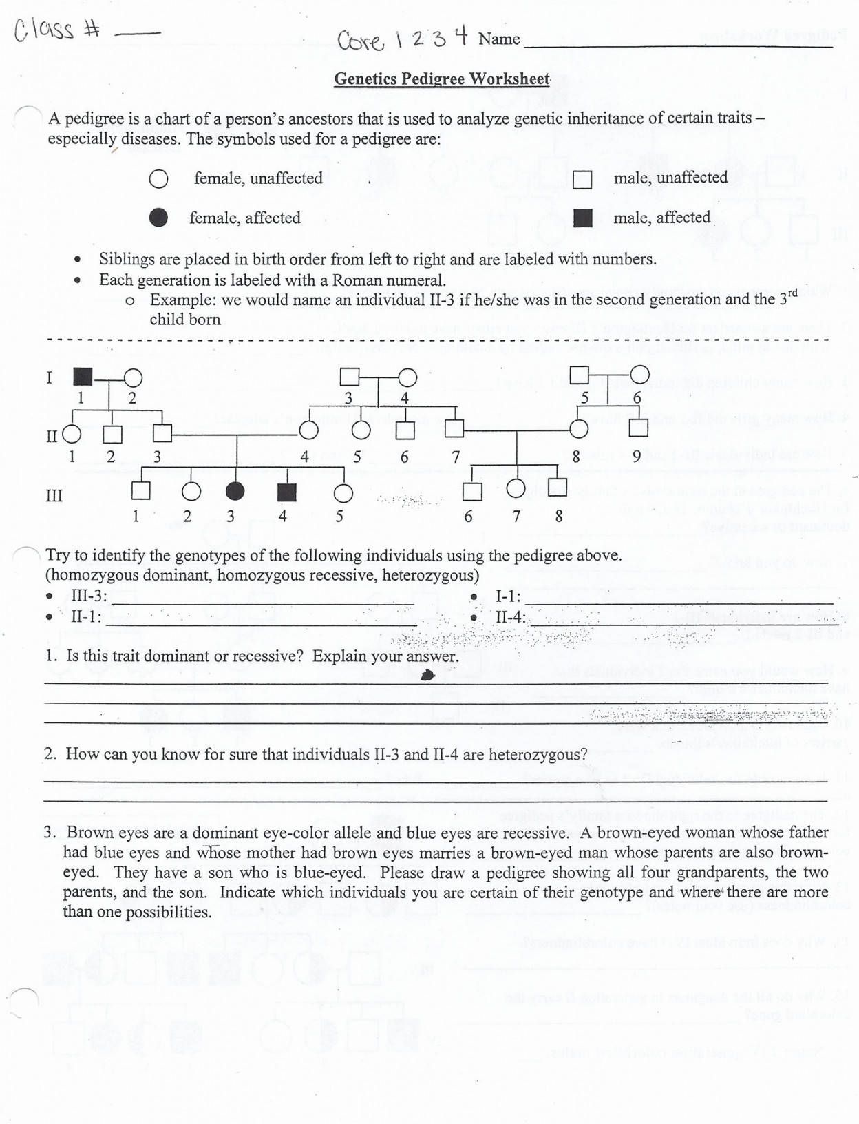 80 Printable Mutation Worksheet Answer Key 3