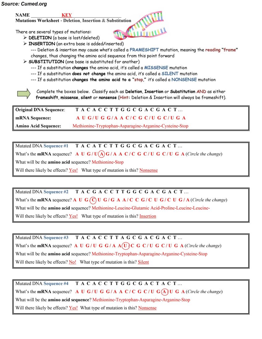 80 Printable Mutation Worksheet Answer Key 31