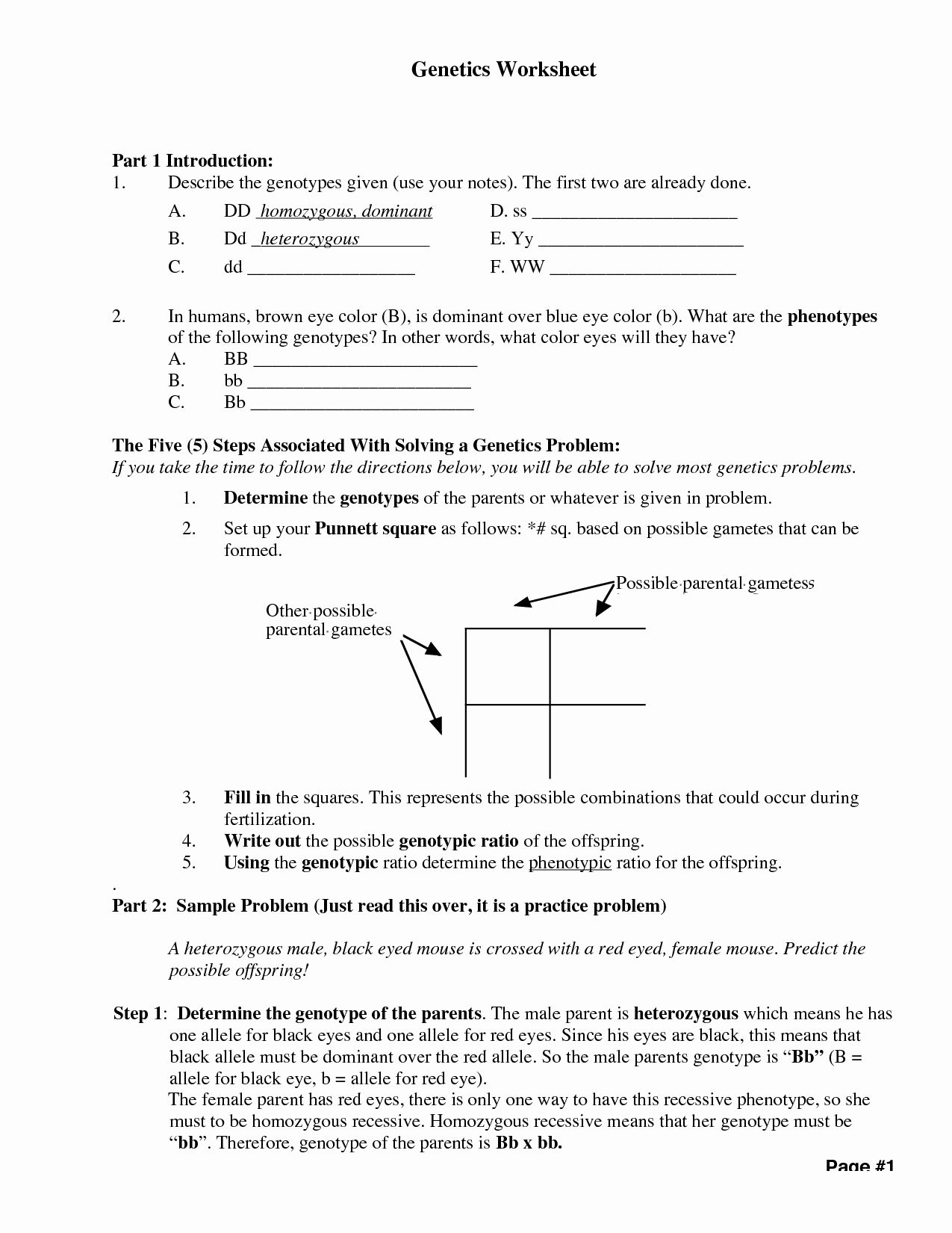 80 Printable Mutation Worksheet Answer Key 35