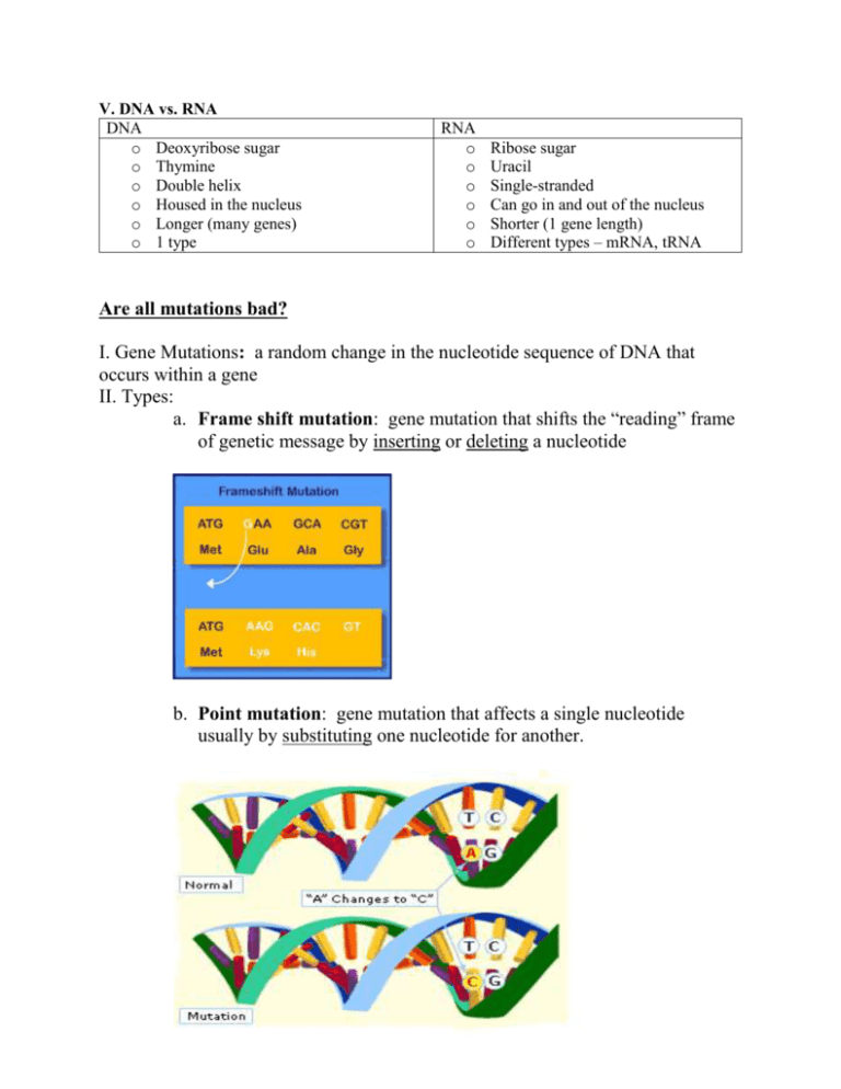 80 Printable Mutation Worksheet Answer Key 4