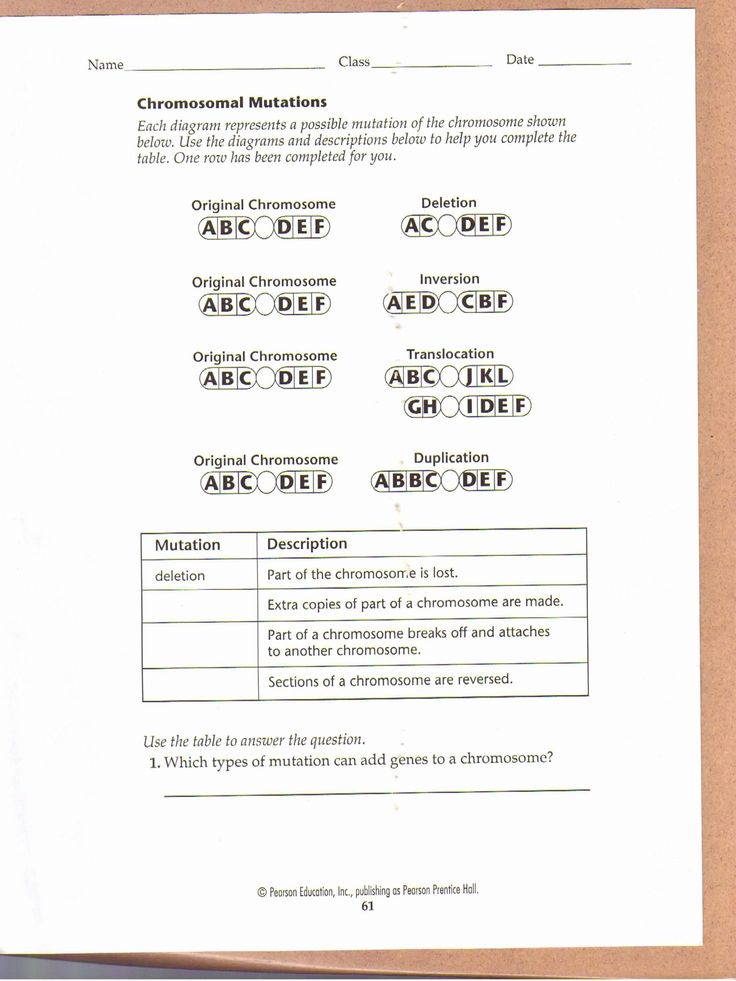 80 Printable Mutation Worksheet Answer Key 46