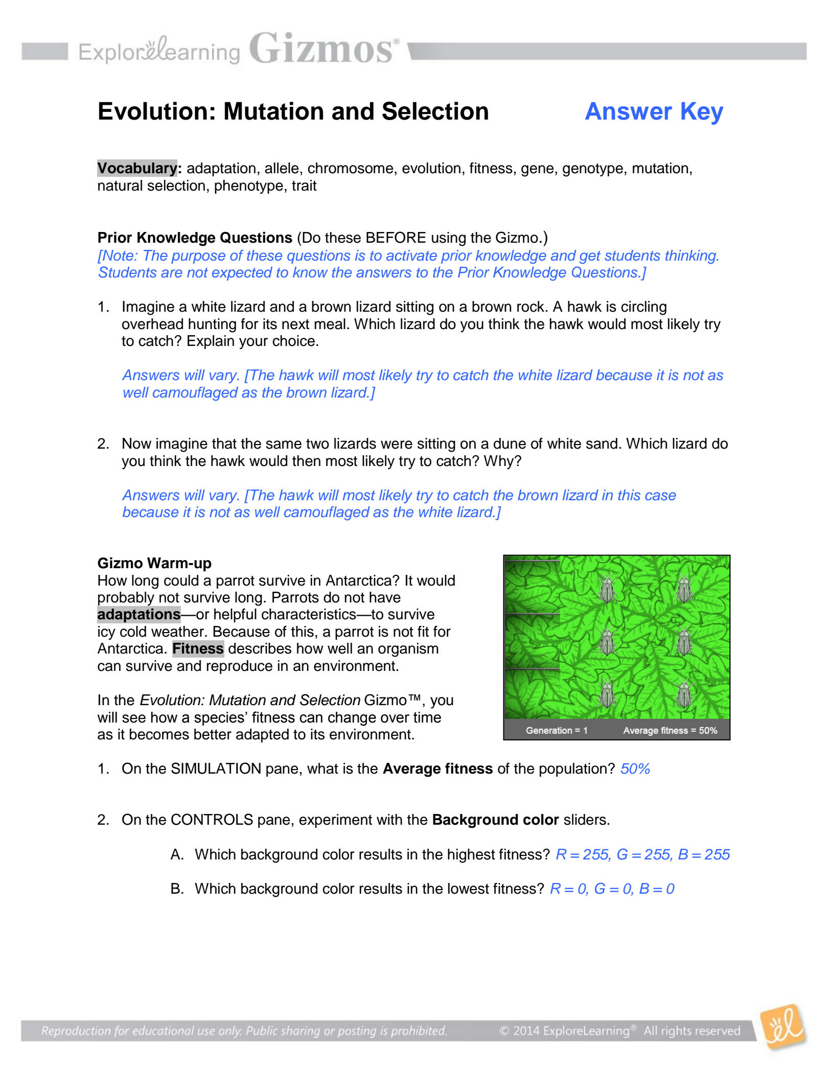 80 Printable Mutation Worksheet Answer Key 49