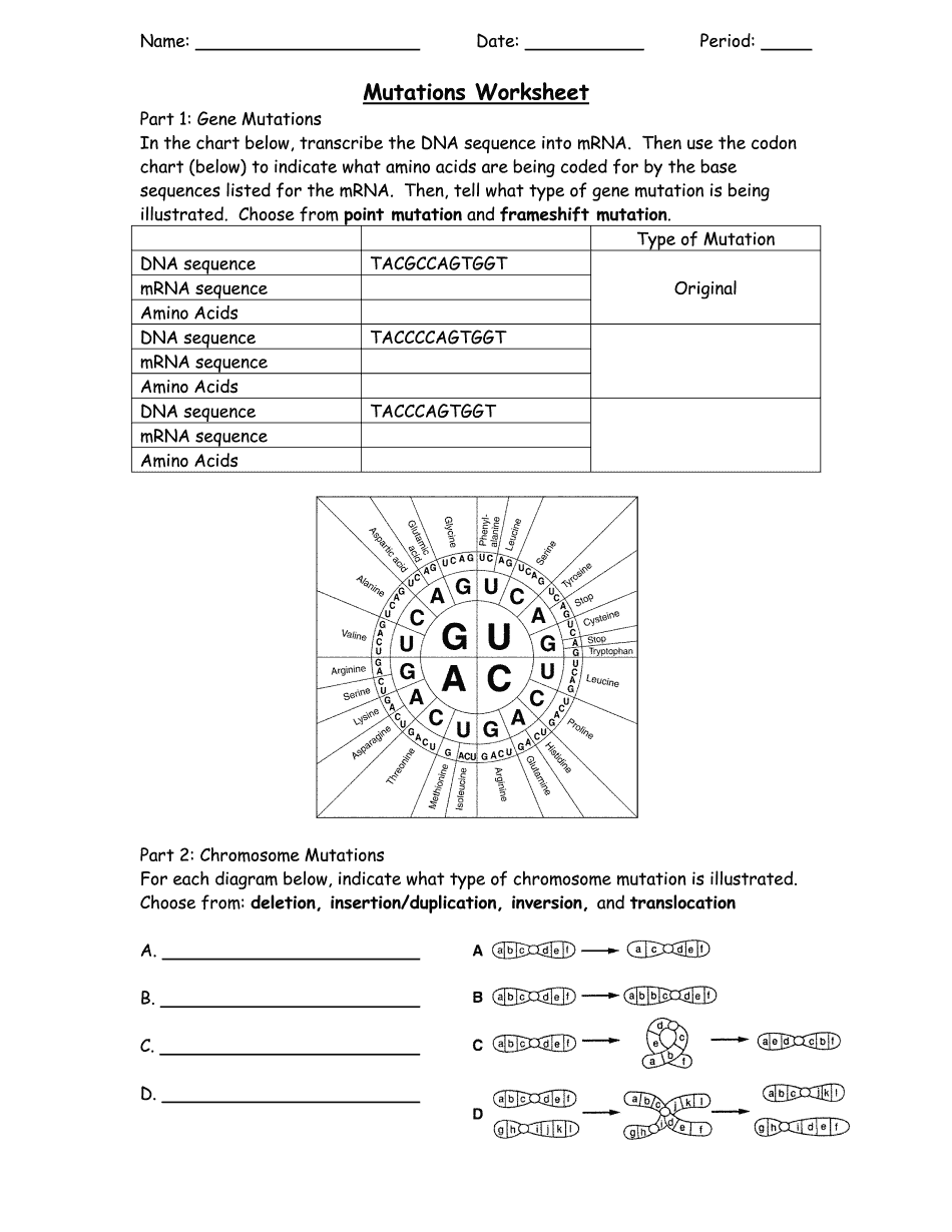 80 Printable Mutation Worksheet Answer Key 50