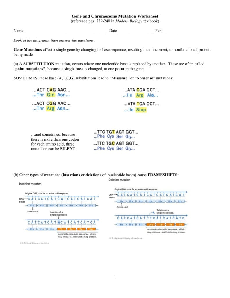 80 Printable Mutation Worksheet Answer Key 53