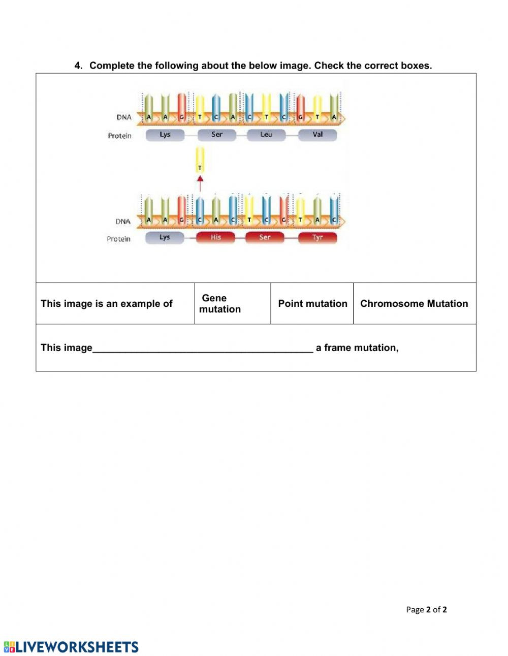 80 Printable Mutation Worksheet Answer Key 54