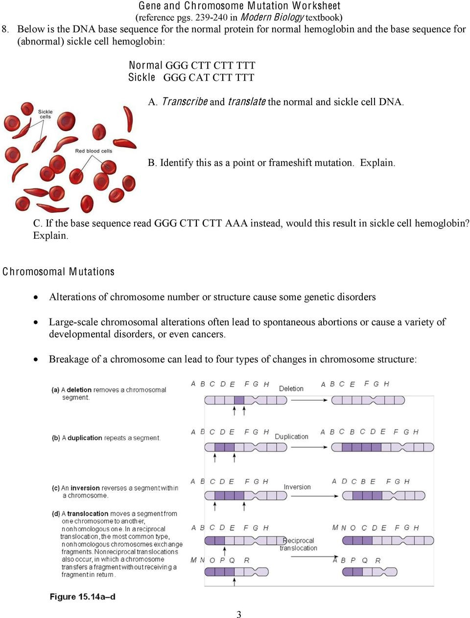 80 Printable Mutation Worksheet Answer Key 58