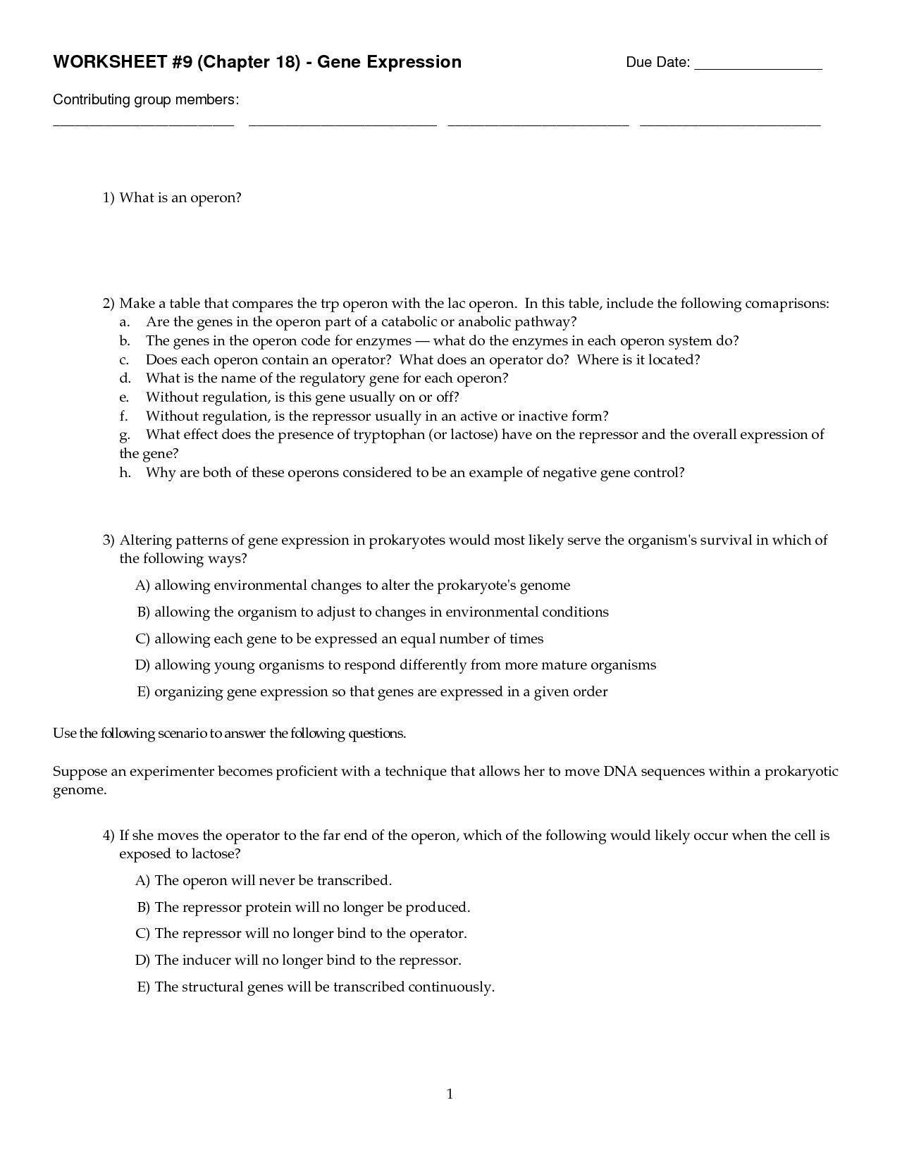 80 Printable Mutation Worksheet Answer Key 60