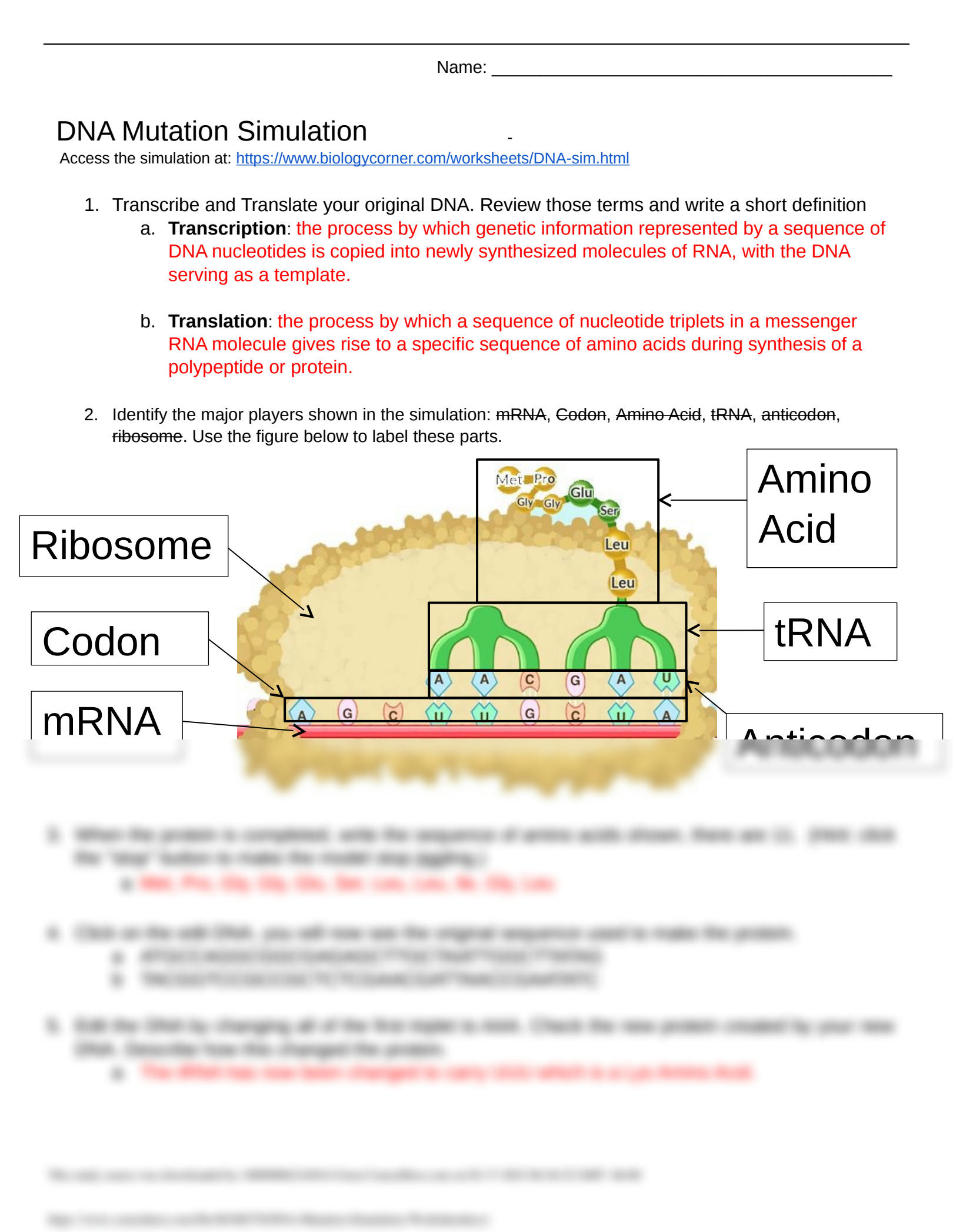 80 Printable Mutation Worksheet Answer Key 71