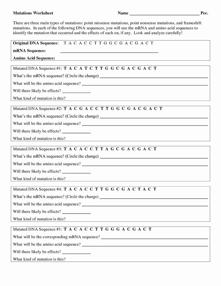 80 Printable Mutation Worksheet Answer Key 74