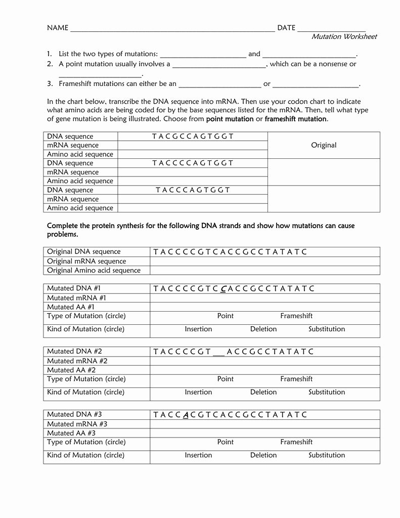 80 Printable Mutation Worksheet Answer Key 76