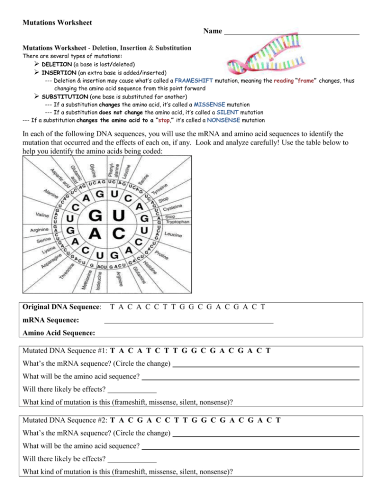 80 Printable Mutation Worksheet Answer Key 78