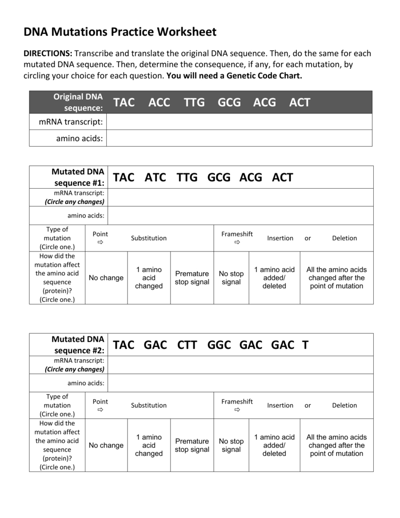 80 Printable Mutation Worksheet Answer Key 8