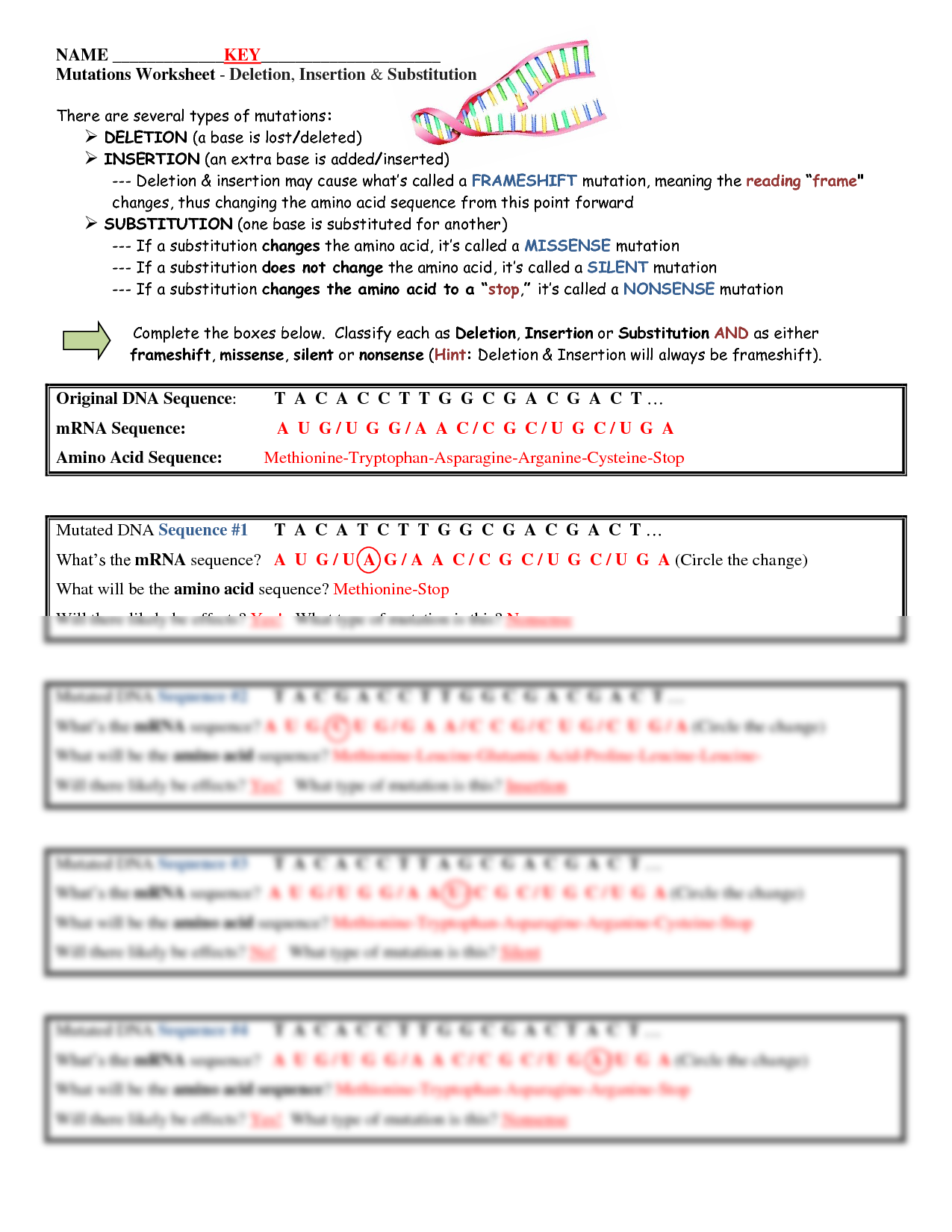 80 Printable Mutation Worksheet Answer Key 83