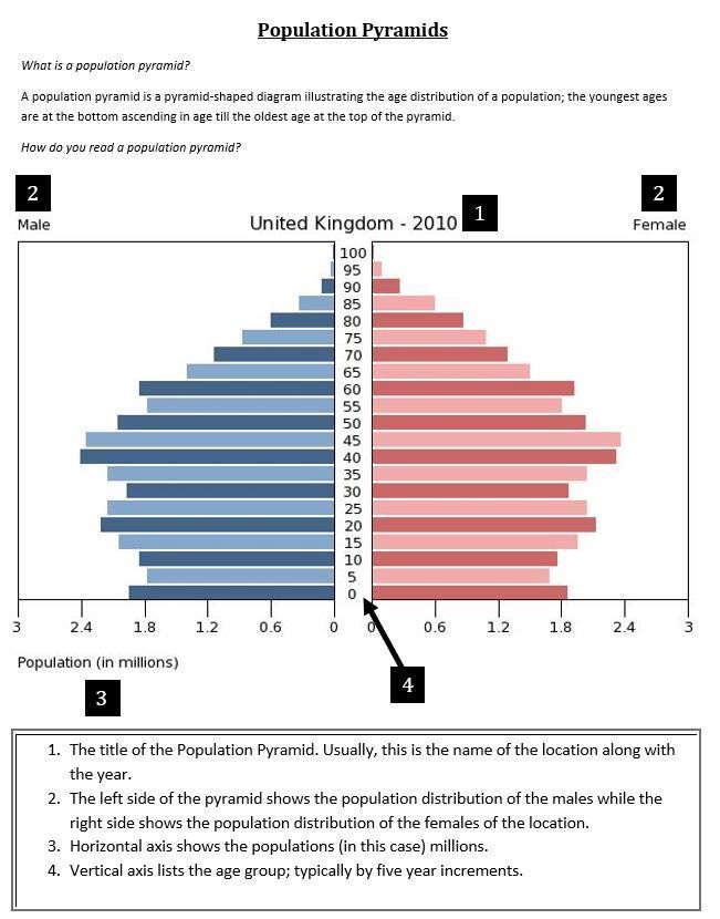 80 Printable Population Pyramid Worksheet Answers 1