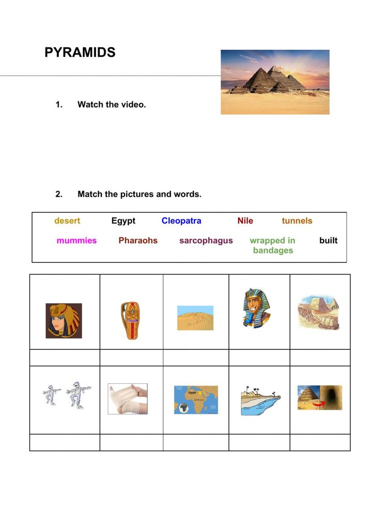 80 Printable Population Pyramid Worksheet Answers 21