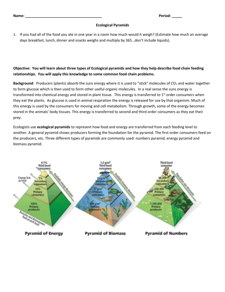 80 Printable Population Pyramid Worksheet Answers 59