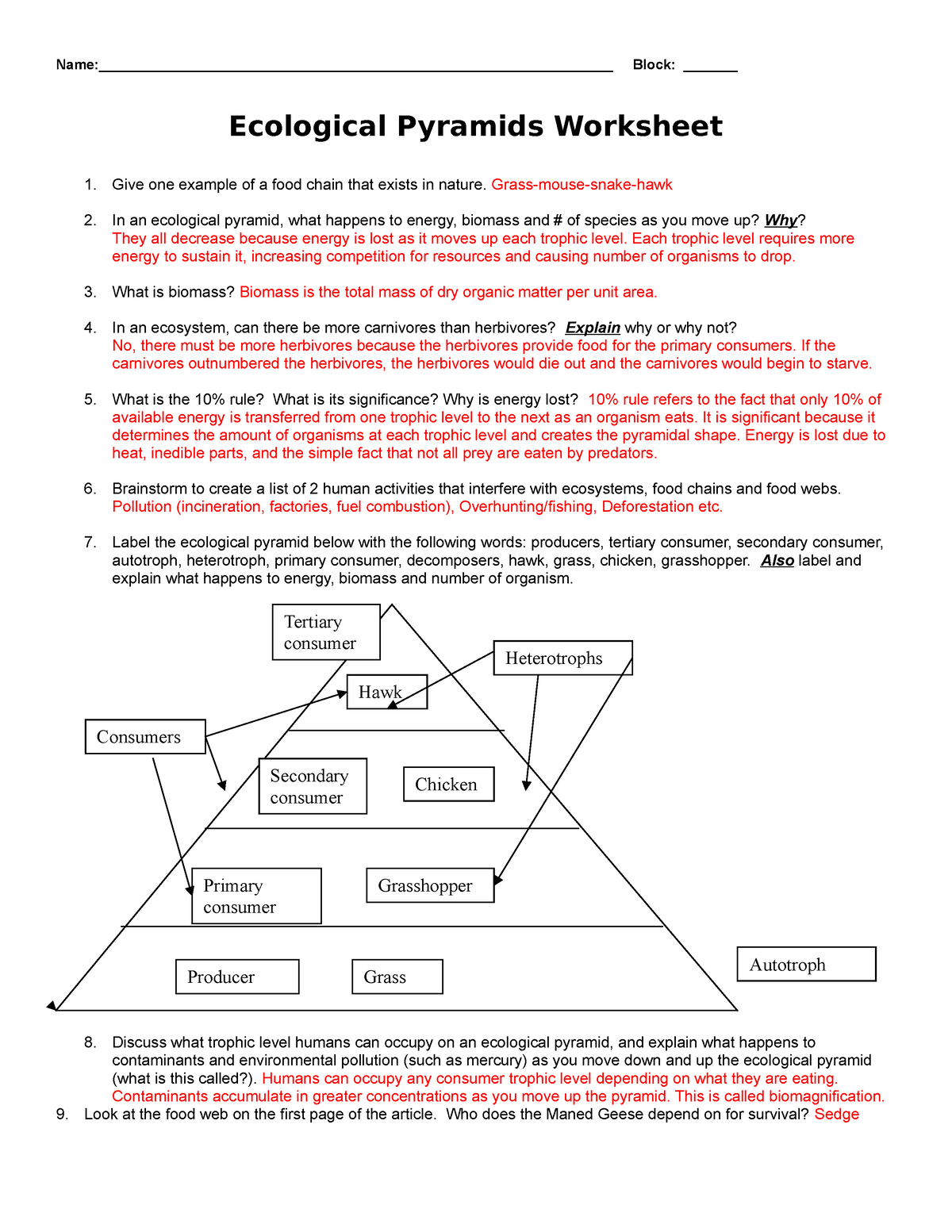 80 Printable Population Pyramid Worksheet Answers 66