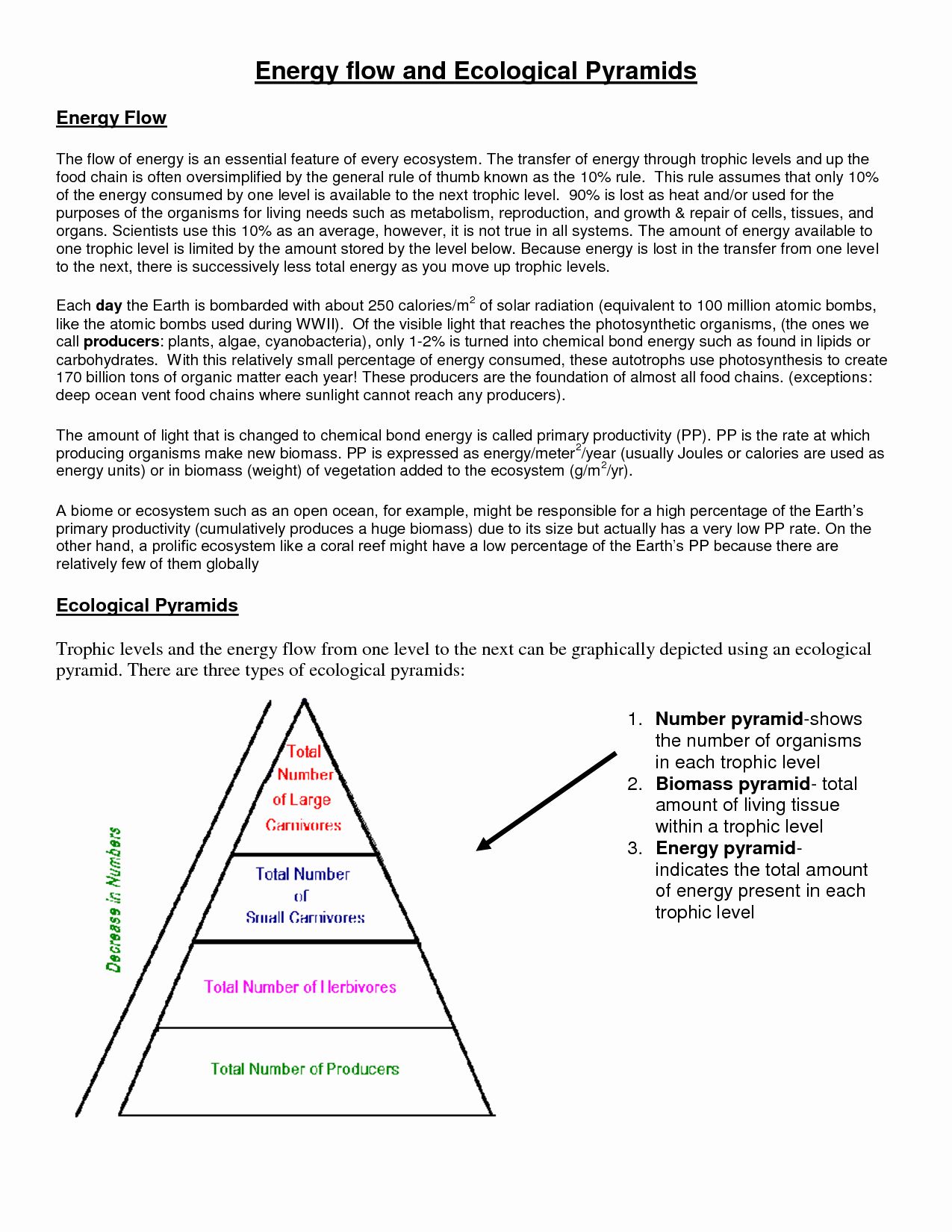 80 Printable Population Pyramid Worksheet Answers 83