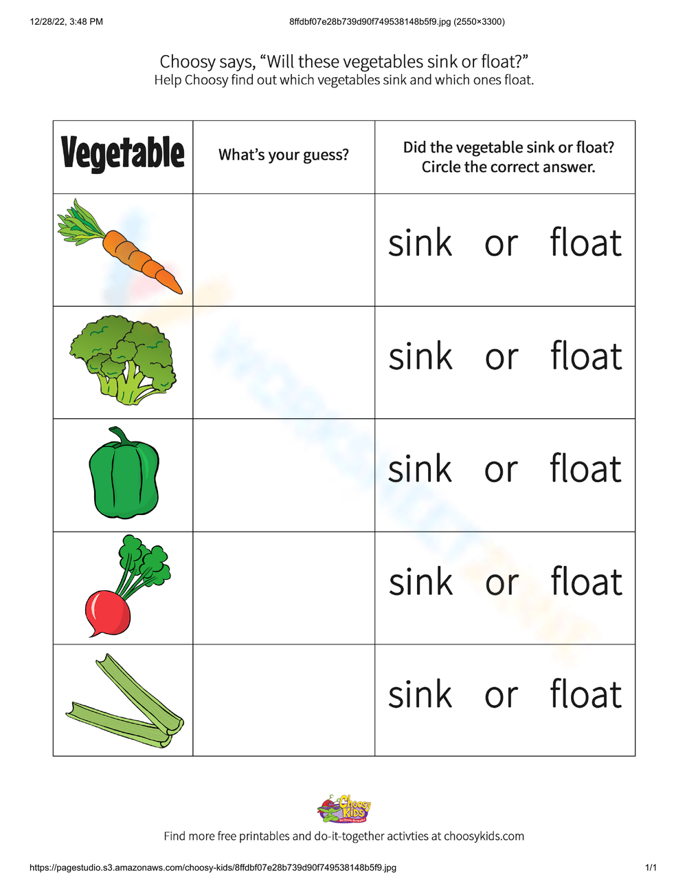 80 Printable Sinking And Floating Worksheet 20