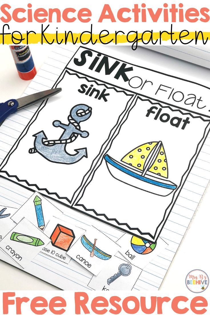 80 Printable Sinking And Floating Worksheet 73