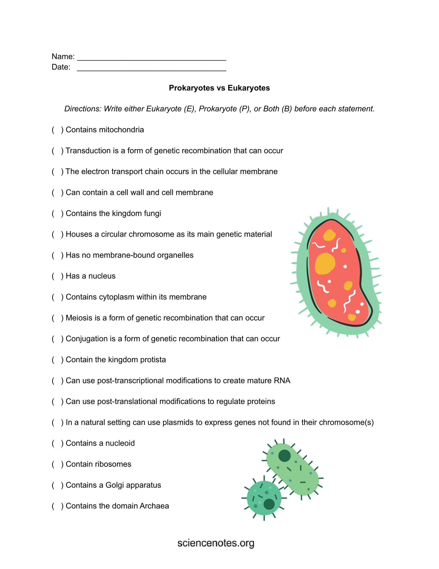 85 Prokaryotic And Eukaryotic Worksheet 1