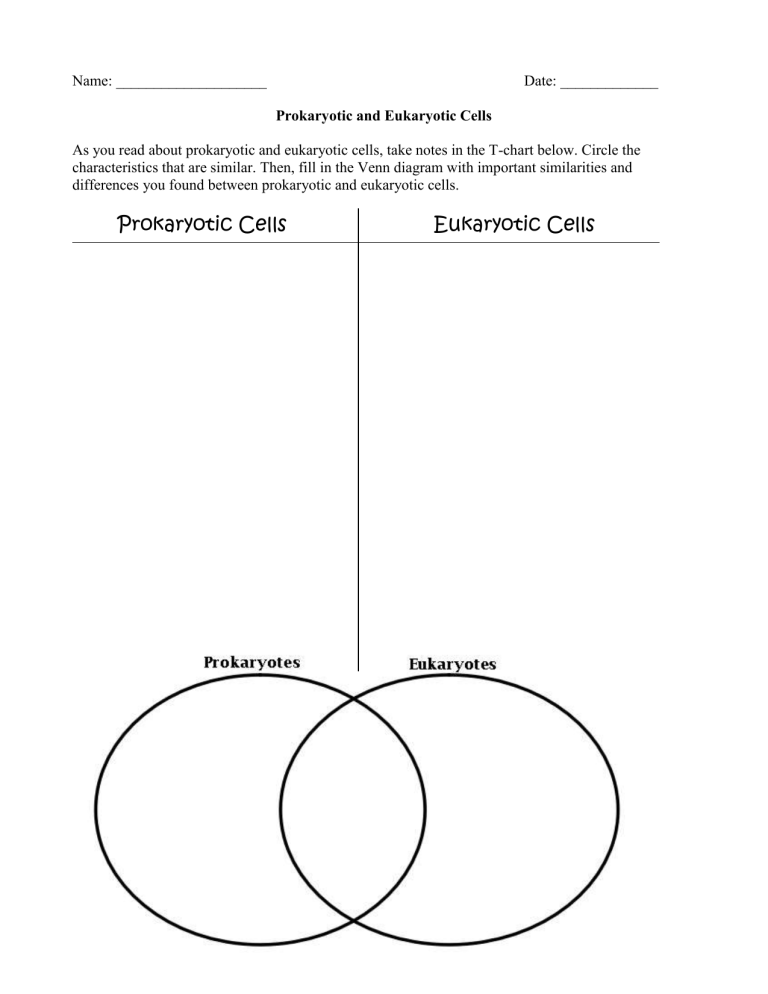 85 Prokaryotic And Eukaryotic Worksheet 28