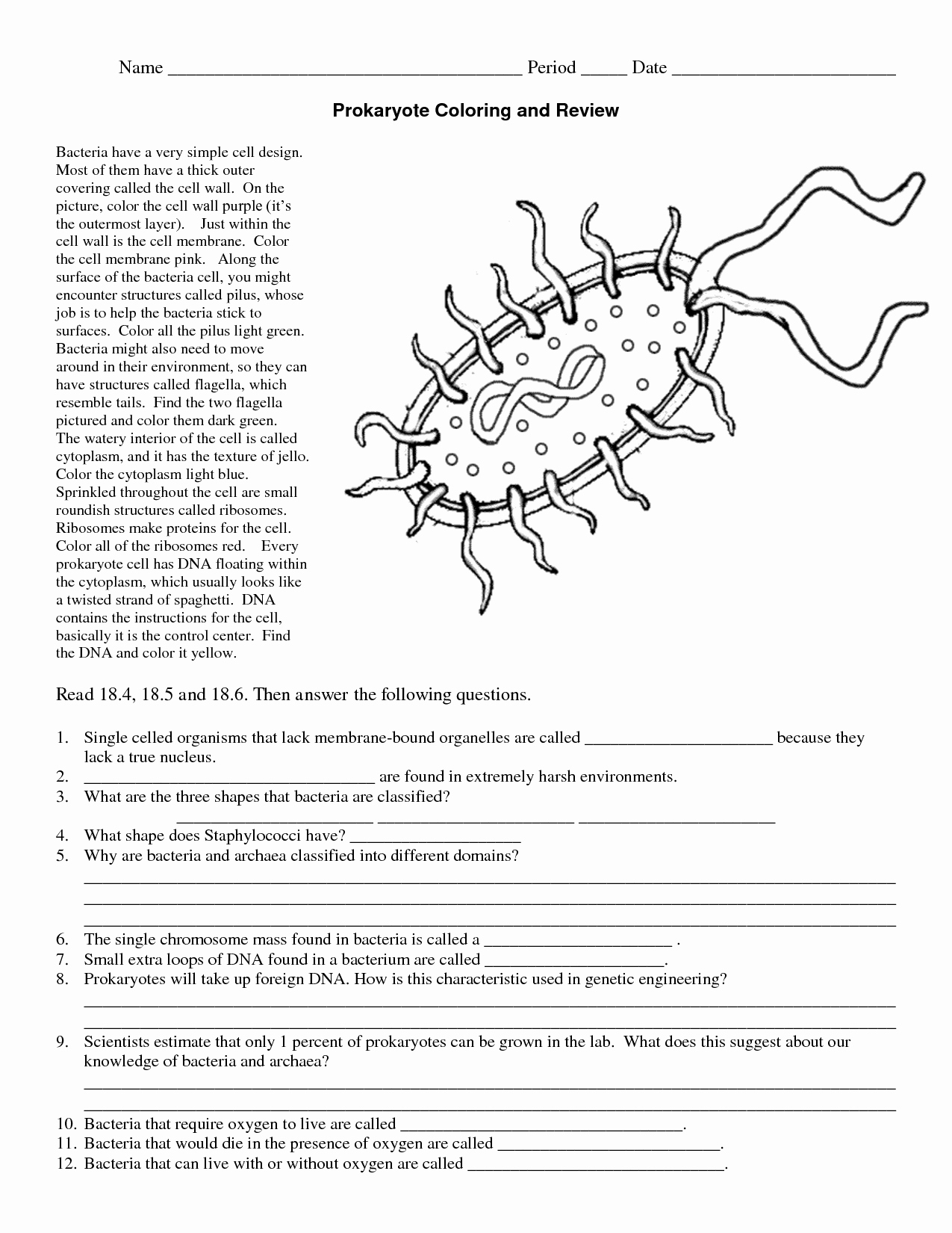 85 Prokaryotic And Eukaryotic Worksheet 31