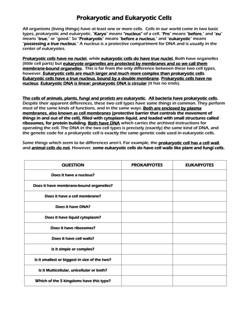 85 Prokaryotic And Eukaryotic Worksheet 34