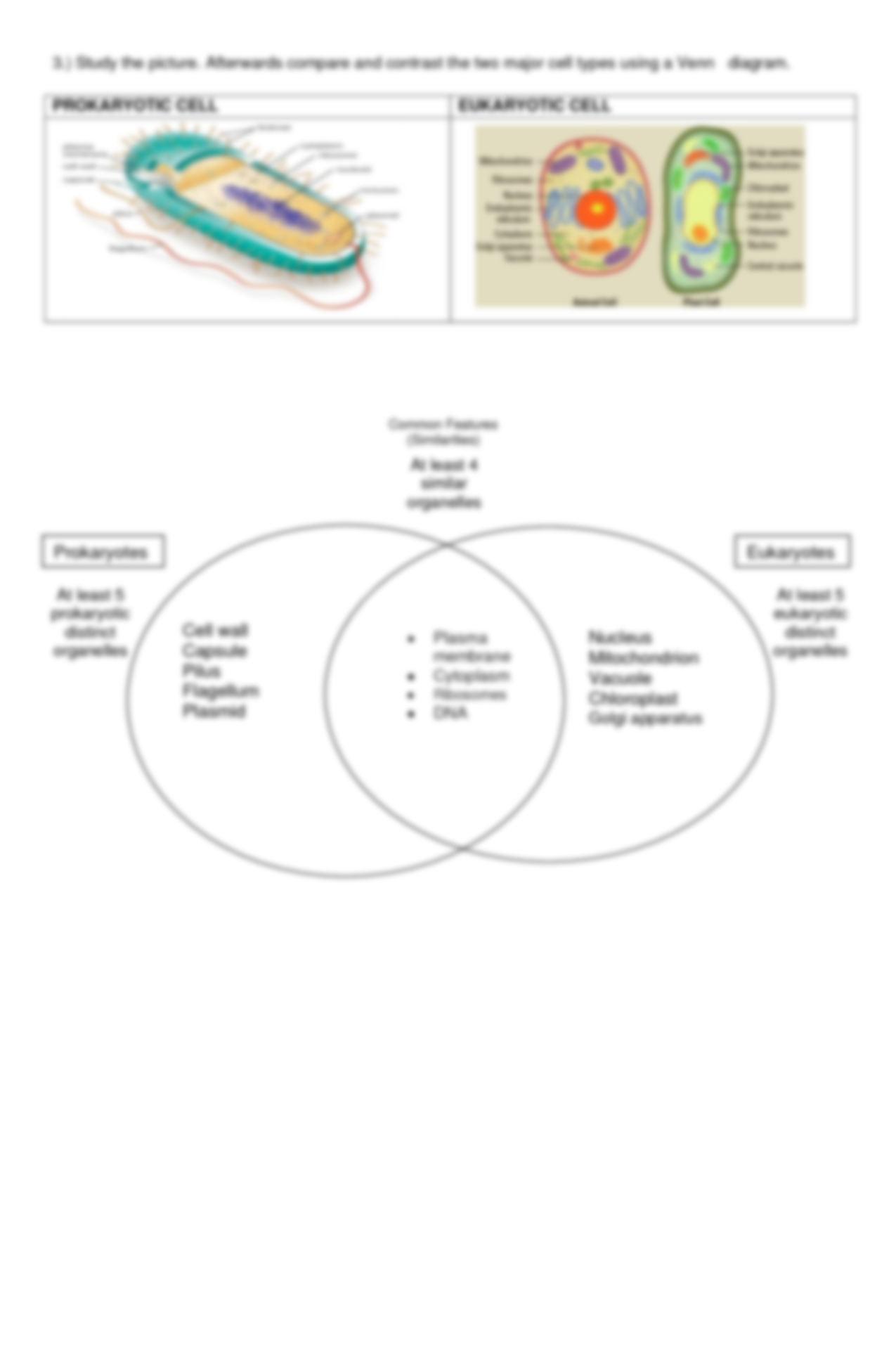 85 Prokaryotic And Eukaryotic Worksheet 39