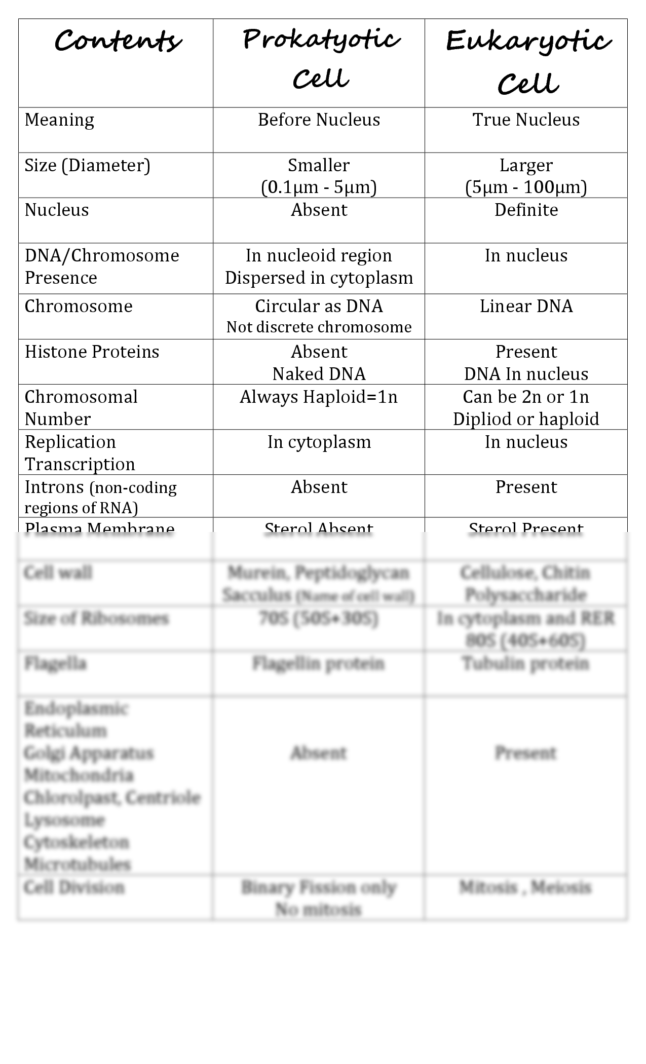 85 Prokaryotic And Eukaryotic Worksheet 40