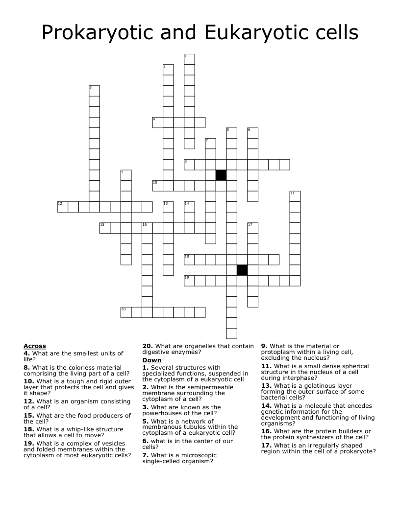 85 Prokaryotic And Eukaryotic Worksheet 45