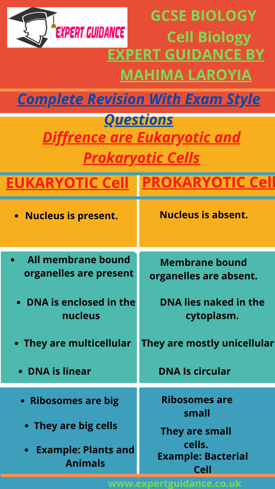 85 Prokaryotic And Eukaryotic Worksheet 5