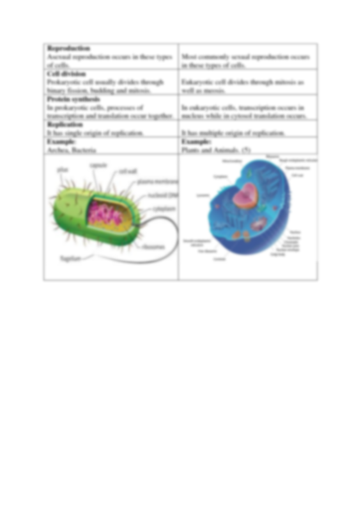 85 Prokaryotic And Eukaryotic Worksheet 53