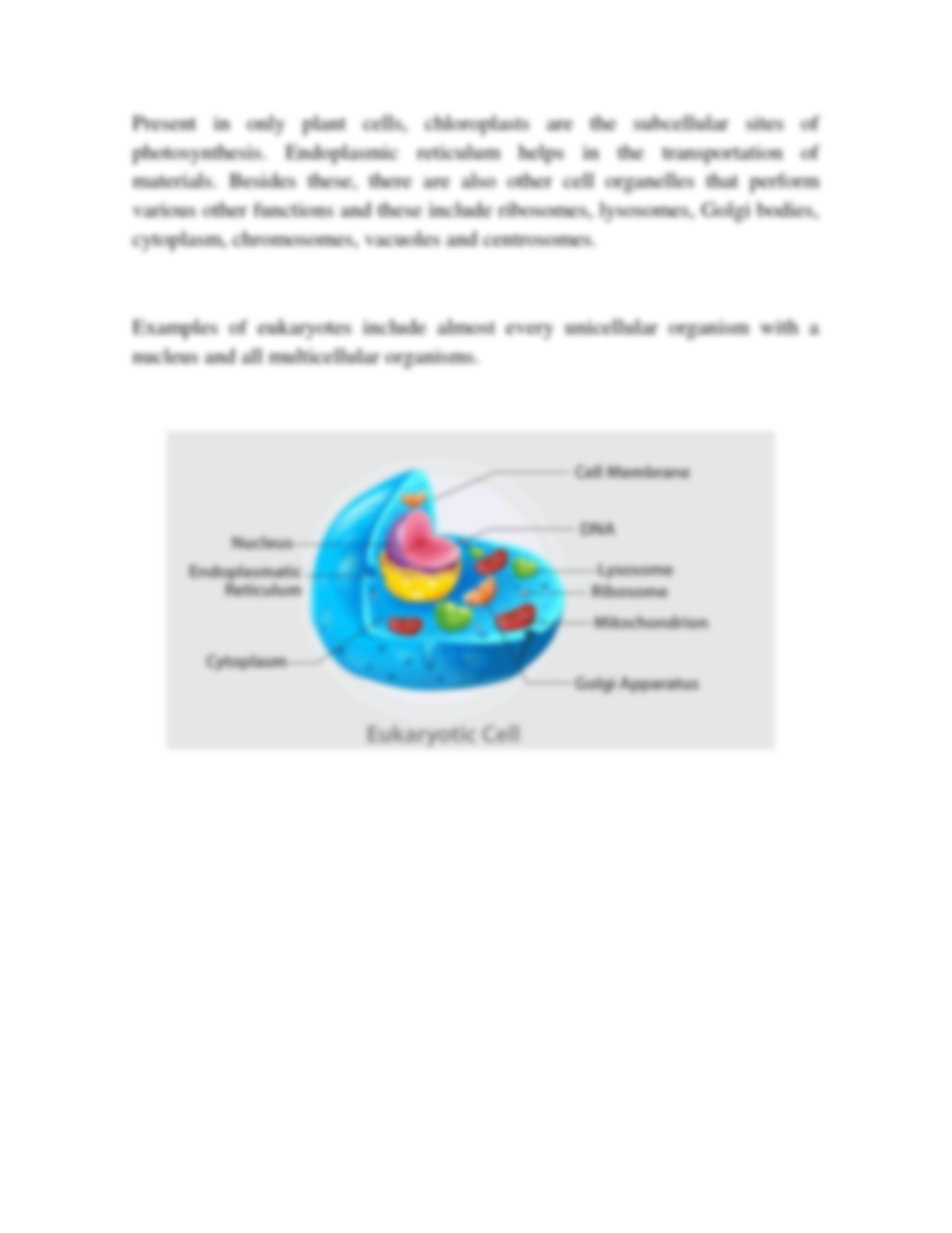 85 Prokaryotic And Eukaryotic Worksheet 65